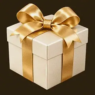 Wrapped gift box — Roospin